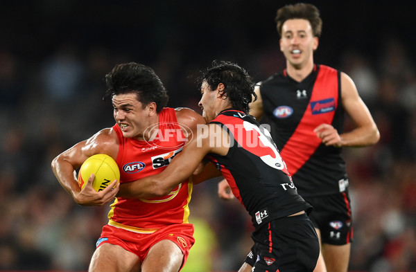 AFL Rd 2  - Essendon v Gold Coast - A-1011635