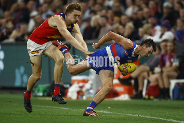 AFL Rd 3 - Western Bulldogs v Brisbane - A-1035184