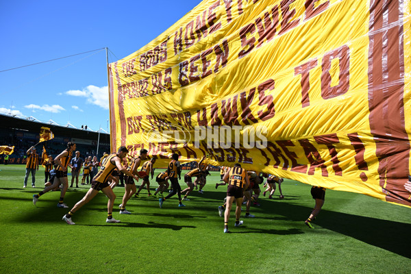 AFL Rd 3 - Hawthorn v North Melbourne - A-1040299