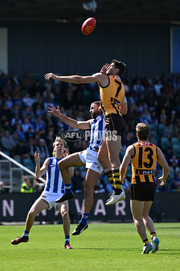 AFL Rd 3 - Hawthorn v North Melbourne - A-1040992