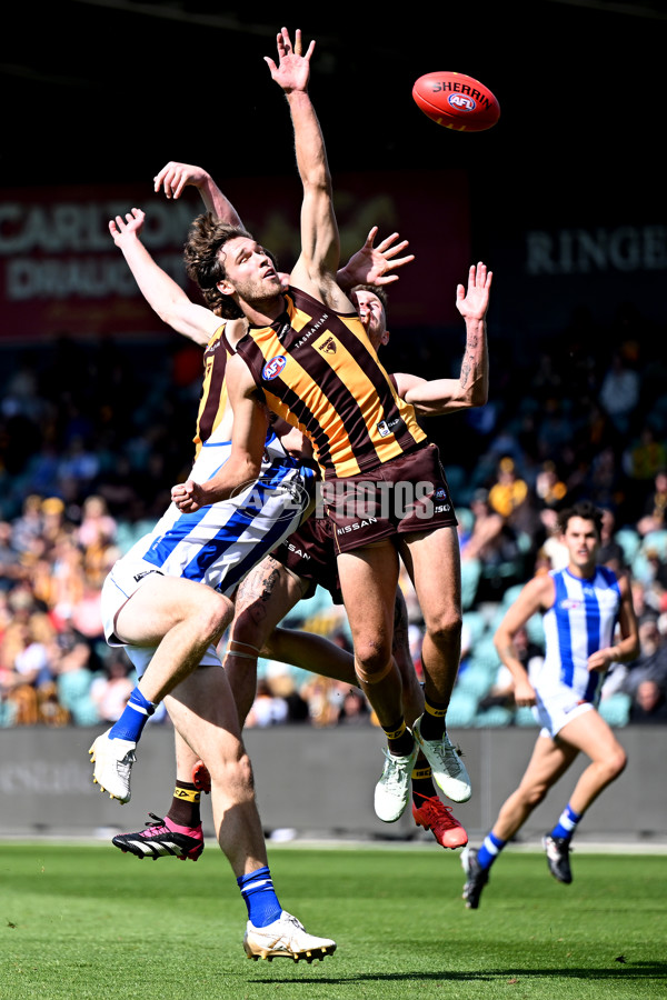 AFL Rd 3 - Hawthorn v North Melbourne - A-1040996