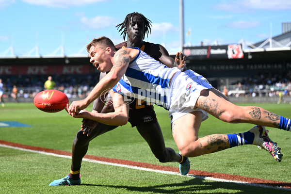 AFL Rd 3 - Hawthorn v North Melbourne - A-1041001