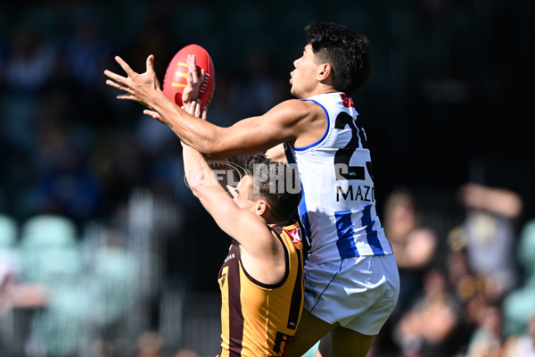 AFL Rd 3 - Hawthorn v North Melbourne - A-1043133