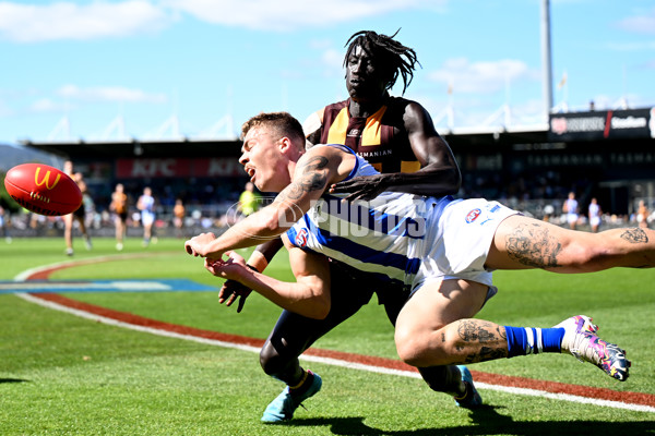 AFL Rd 3 - Hawthorn v North Melbourne - A-1043145