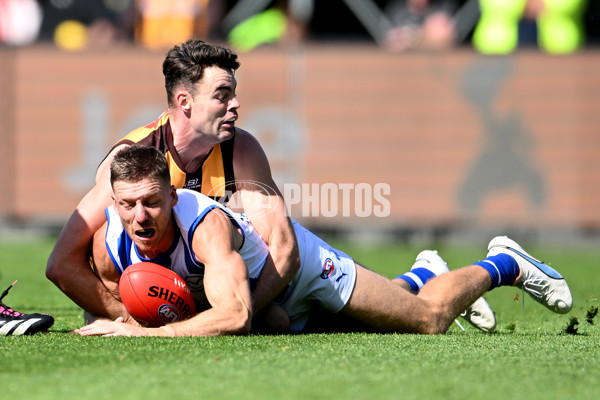 AFL Rd 3 - Hawthorn v North Melbourne - A-1043150