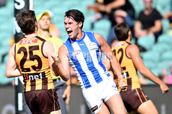 AFL Rd 3 - Hawthorn v North Melbourne - A-1043201