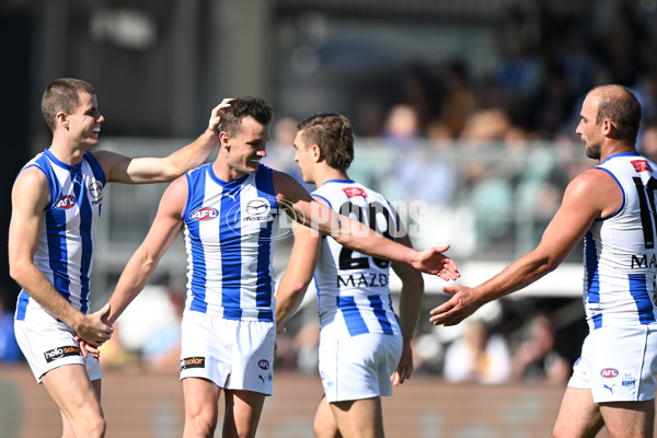 AFL Rd 3 - Hawthorn v North Melbourne - A-1043854