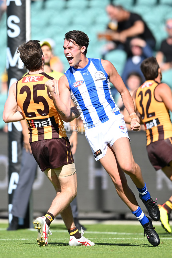 AFL Rd 3 - Hawthorn v North Melbourne - A-1043859