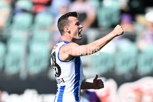 AFL Rd 3 - Hawthorn v North Melbourne - A-1043912