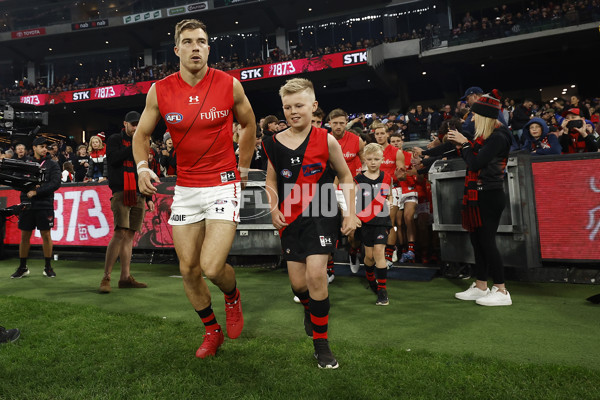 AFL Rd 3 - St Kilda v Essendon - A-1050342