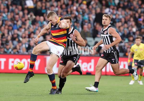 AFL Rd 3 - Port Adelaide v Adelaide - A-1051183