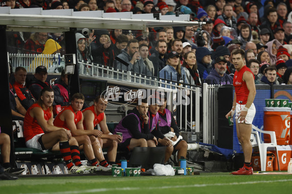 AFL Rd 3 - St Kilda v Essendon - A-1053650