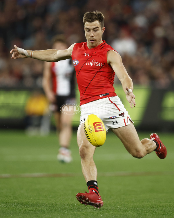 AFL Rd 3 - St Kilda v Essendon - A-1053682