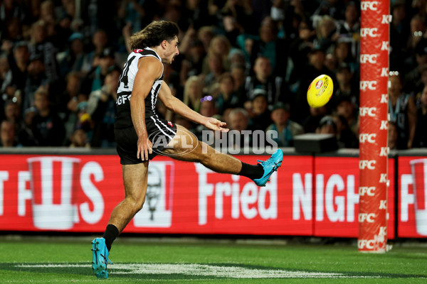 AFL Rd 3 - Port Adelaide v Adelaide - A-1053866