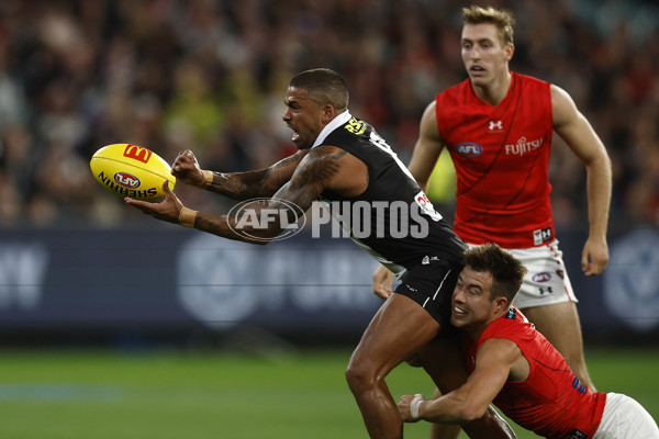 AFL Rd 3 - St Kilda v Essendon - A-1053909