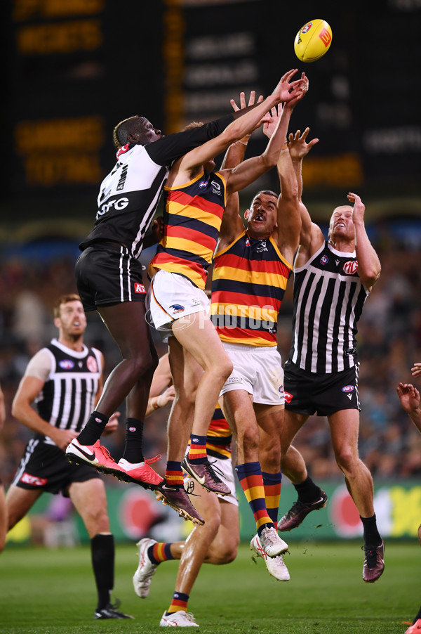 AFL Rd 3 - Port Adelaide v Adelaide - A-1059821