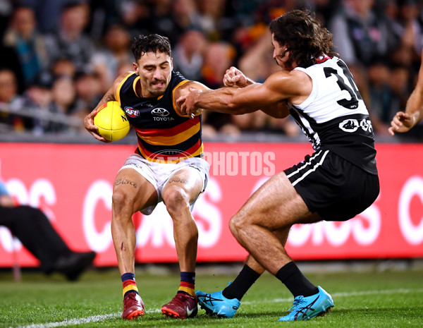 AFL Rd 3 - Port Adelaide v Adelaide - A-1065271