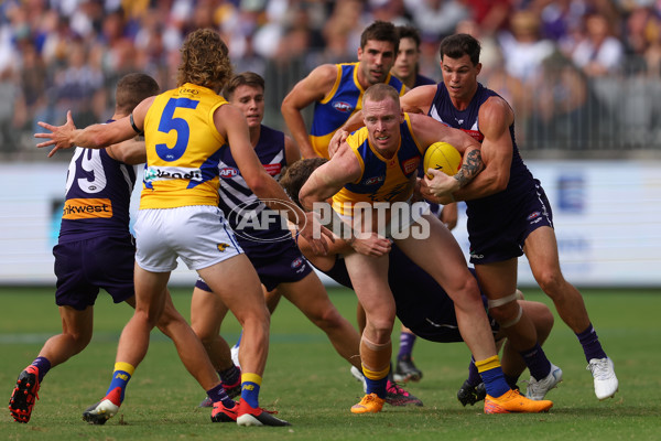 AFL Rd 3 - Fremantle v West Coast - A-1080617