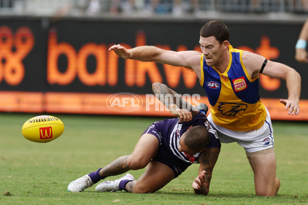 AFL Rd 3 - Fremantle v West Coast - A-1082322