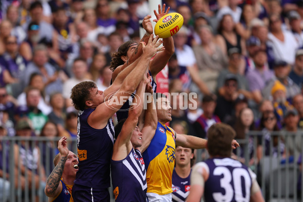 AFL Rd 3 - Fremantle v West Coast - A-1082349