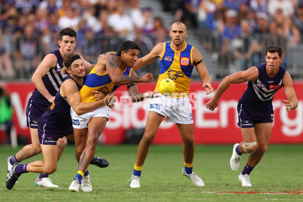 AFL Rd 3 - Fremantle v West Coast - A-1086692