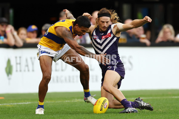 AFL Rd 3 - Fremantle v West Coast - A-1086713