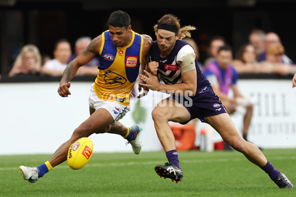 AFL Rd 3 - Fremantle v West Coast - A-1088080