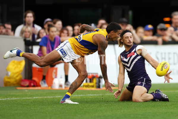 AFL Rd 3 - Fremantle v West Coast - A-1090919