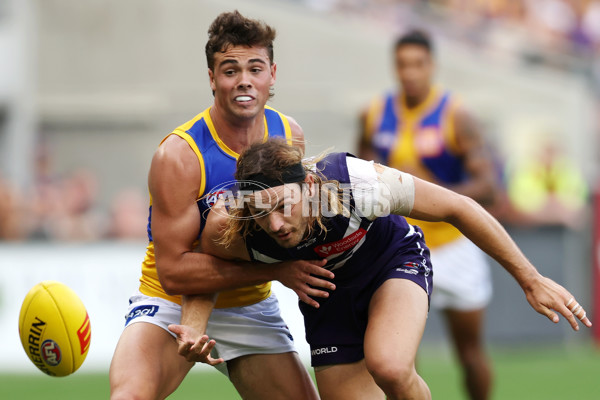 AFL Rd 3 - Fremantle v West Coast - A-1090942