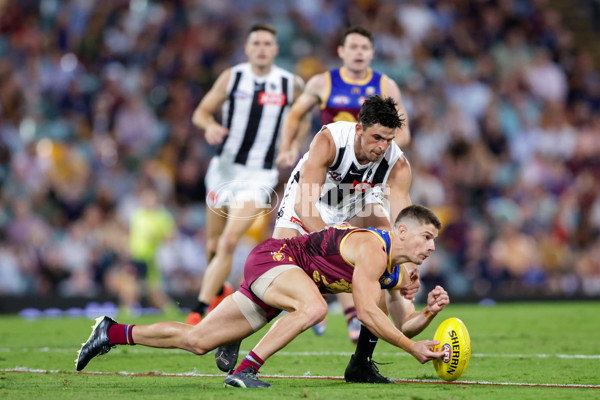 AFL Rd 4 - Brisbane v Collingwood - A-1098645