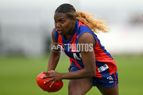 VFLW Rd 3 - Williamstown v Port Melbourne - A-1101571