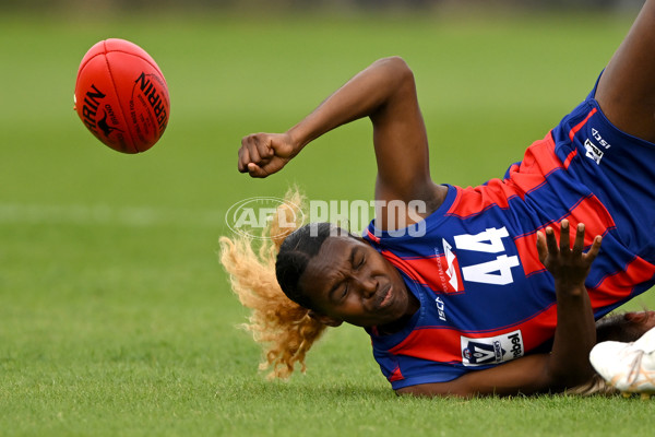 VFLW Rd 3 - Williamstown v Port Melbourne - A-1104547