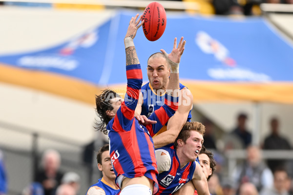 VFL Rd 3 - Williamstown v Port Melbourne - A-1104608