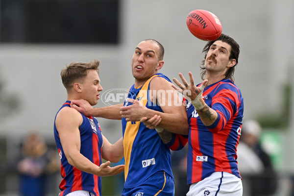 VFL Rd 3 - Williamstown v Port Melbourne - A-1105754