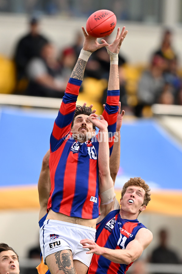 VFL Rd 3 - Williamstown v Port Melbourne - A-1105786