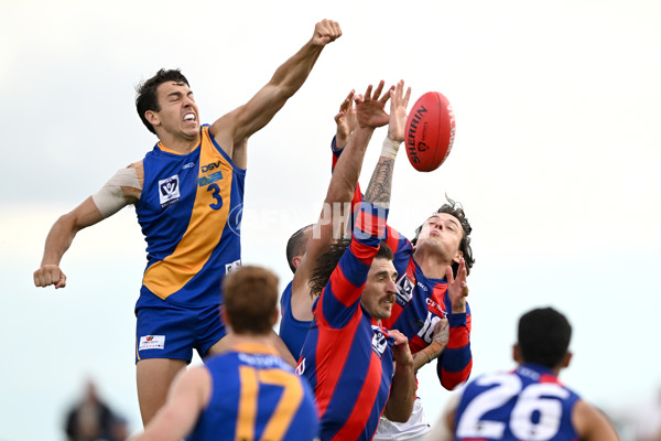 VFL Rd 3 - Williamstown v Port Melbourne - A-1105824