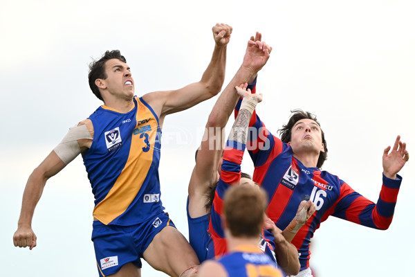 VFL Rd 3 - Williamstown v Port Melbourne - A-1105831