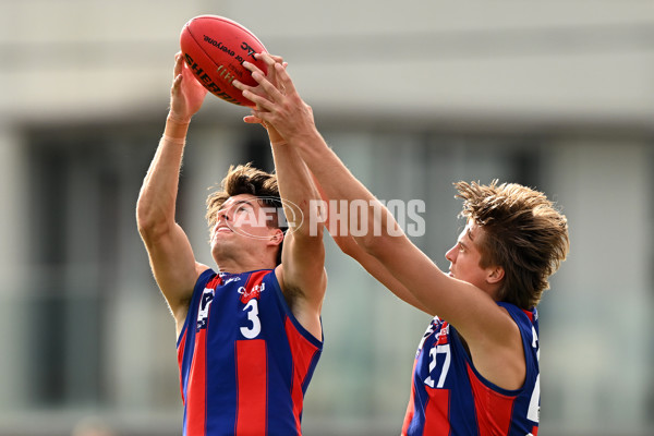 VFL Rd 3 - Williamstown v Port Melbourne - A-1105842