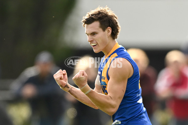 VFL Rd 3 - Williamstown v Port Melbourne - A-1105843