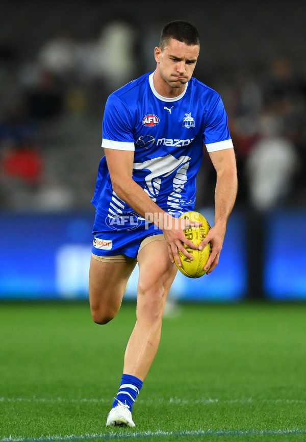 AFL Rd 4 - North Melbourne v Carlton - A-1107272