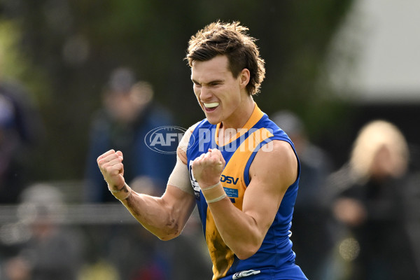 VFL Rd 3 - Williamstown v Port Melbourne - A-1107296