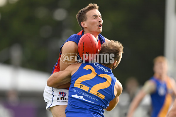 VFL Rd 3 - Williamstown v Port Melbourne - A-1107303