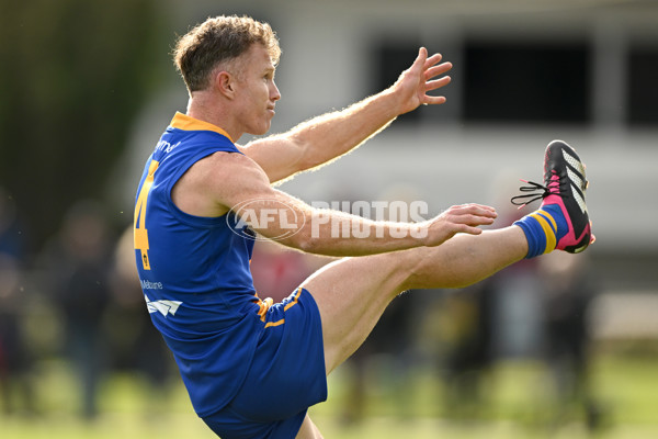 VFL Rd 3 - Williamstown v Port Melbourne - A-1107344