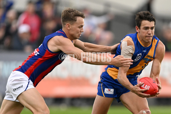 VFL Rd 3 - Williamstown v Port Melbourne - A-1107356