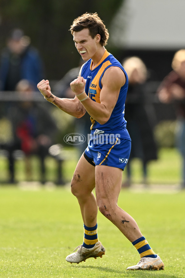 VFL Rd 3 - Williamstown v Port Melbourne - A-1108576