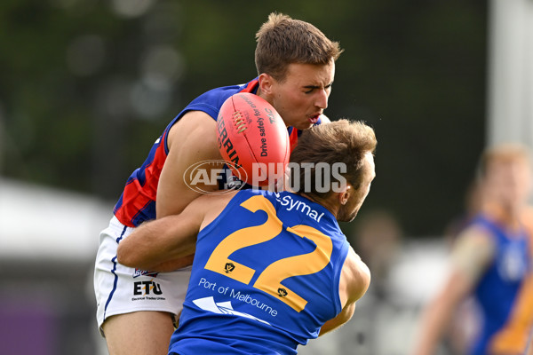 VFL Rd 3 - Williamstown v Port Melbourne - A-1108581