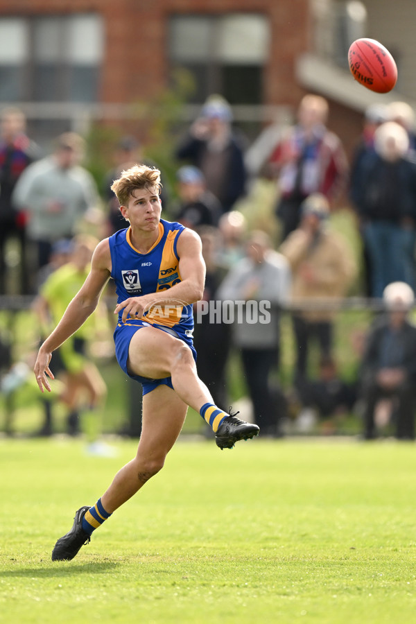 VFL Rd 3 - Williamstown v Port Melbourne - A-1108619