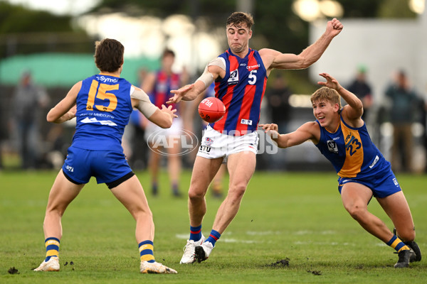 VFL Rd 3 - Williamstown v Port Melbourne - A-1108623