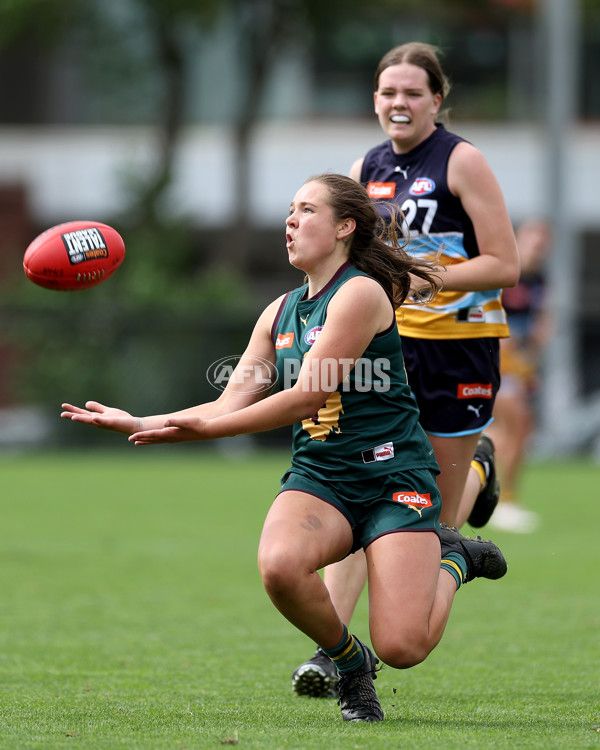 Coates Talent League Girls Rd 4 - Bendigo Pioneers v Tasmania Devils - A-1111394