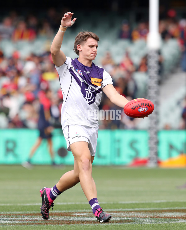 AFL Rd 4 - Adelaide v Fremantle - A-1113745